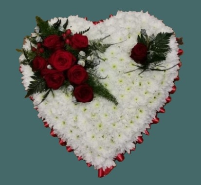 Heart white based chrysanthemums