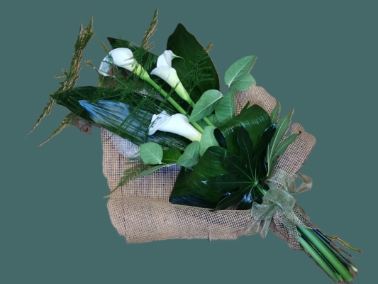 Sheaf White Calla Lily