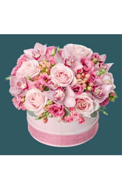 Hatbox Pink Sentiment