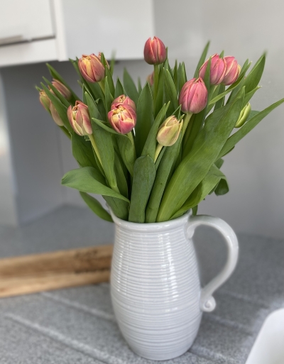 Jug with Tulips