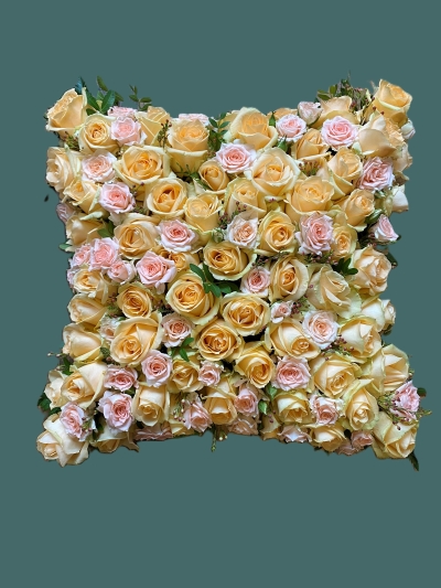 Pastel Rose Cushion